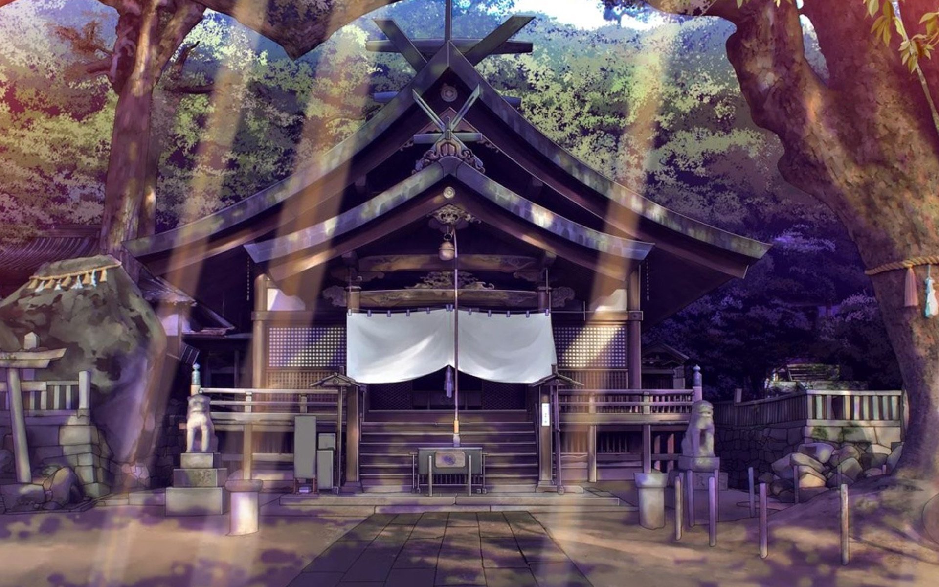 天美直播团队介绍视频